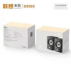 LECOO DS103